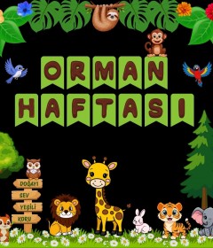Orman Haftası
